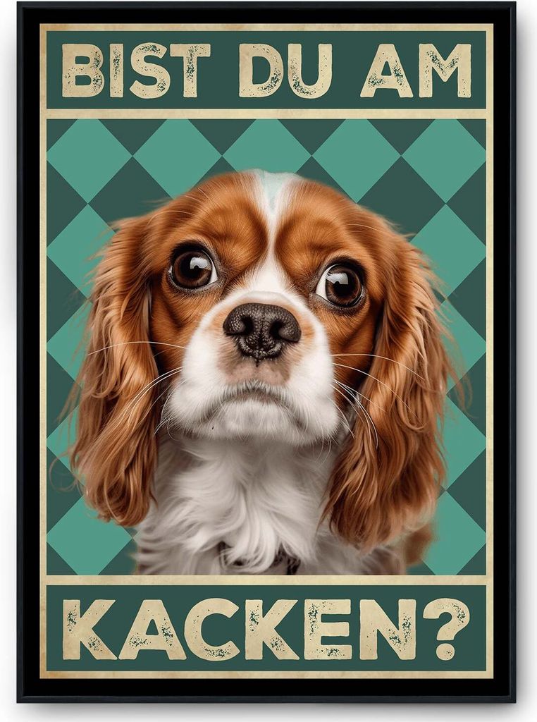 Cavalier King Charles Spaniel - Bist du am Kacken? Hunde Poster Badezimmer Gästebad Wandbild Klo Toilette Dekoration Lustiges Gäste-WC Bild DIN A...