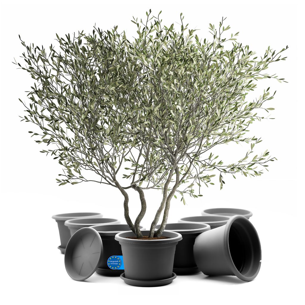 BigDean 8 Stück Blumentopf mit Untersetzer rund ø 40 cm Produktbild 