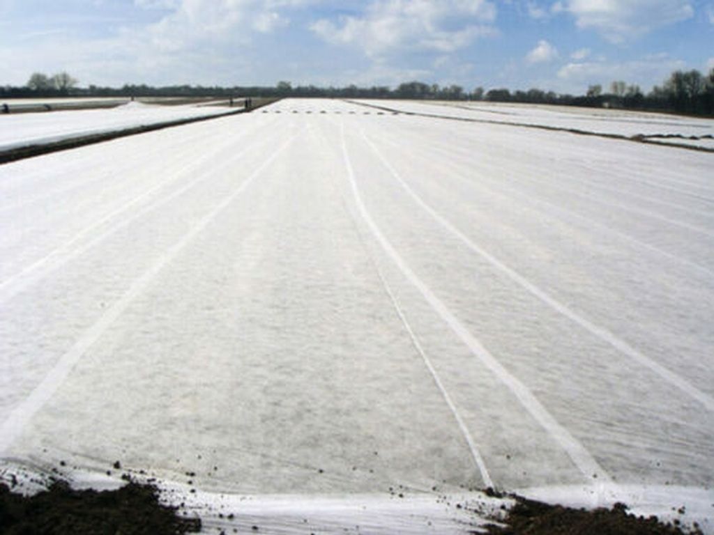 Gartenvlies Schutzvlies 3,2 x 100m Pflanzvlies zur Produktbild 4
