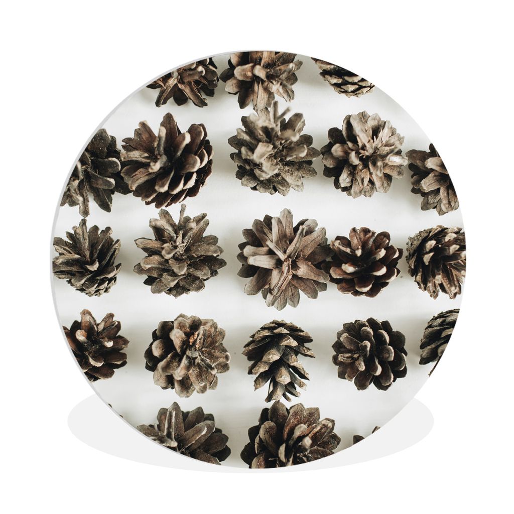 MuchoWow Rundes Wandbild - Runde Bilder Tannenzapfen - Winter - Weiß Ø 90 cm Kreis Wanddekoration Kunststoff - Wandkreis - Wandschmuck - Wand-K...