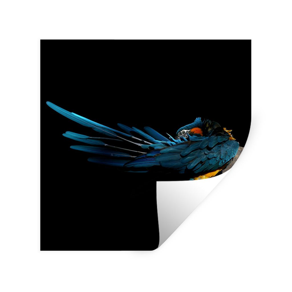 MuchoWow Wandtattoo Wandsticker Wandaufkleber Vogel - Federn - Zweig - Schwarz 100x100 cm Selbstklebend und Repositionierbar - Wierderverwendbar ...