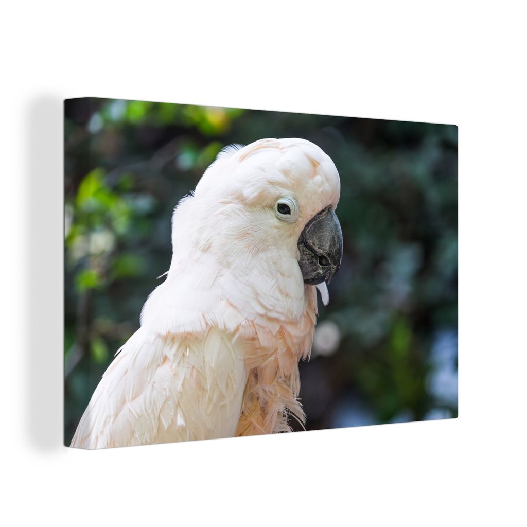 OneMillionCanvasses - Leinwandbilder - 140x90 cm, Nahaufnahme eines weißen Kakadus, Wandbilder Kunstdruck Wanddekoration - Foto auf Leinwand - G...
