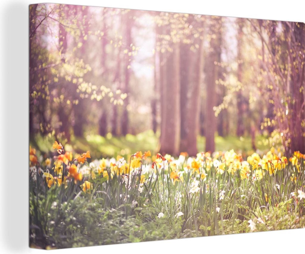 OneMillionCanvasses - Leinwandbilder - 140x90 cm, Frühling - Narzissen - Bäume, Wandbilder Kunstdruck Wanddekoration - Foto auf Leinwand - Gem...