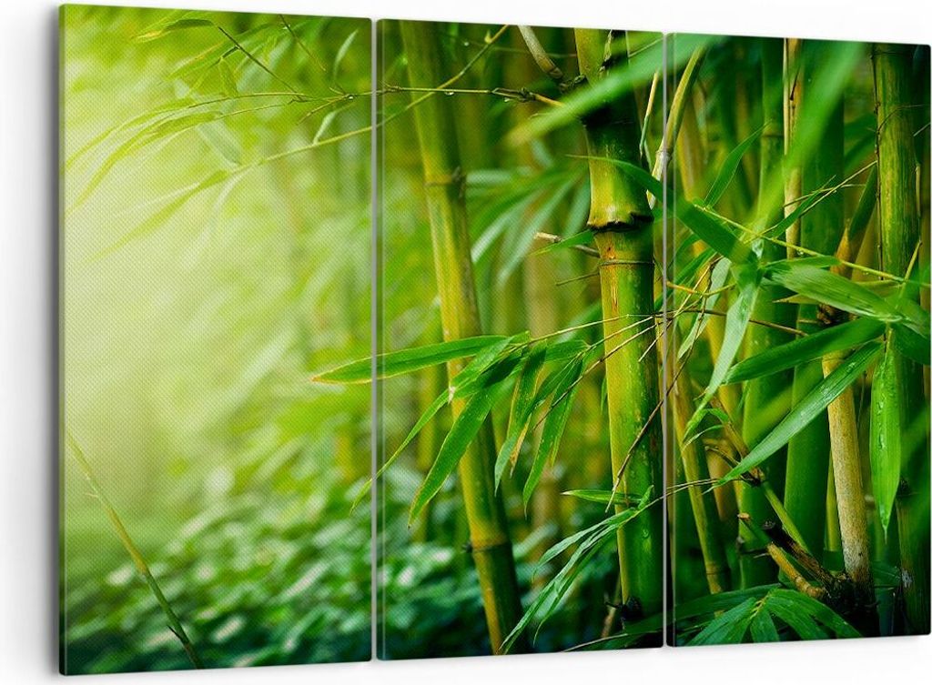 Bild auf Leinwand - Leinwandbild - Bambus Pflanze - 105x70cm - Wand Bild - Wanddeko - Wandbilder - Leinwanddruck - Bilder - Kunstdruck - Wanddekora...