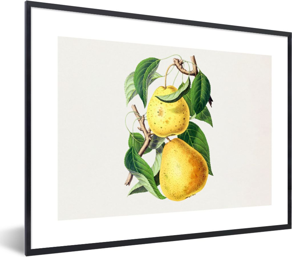MuchoWow Gerahmtes Poster Birnen - Pflanze - Lebensmittel 80x60 cm - Poster mit Schwarzem Bilderrahmen Wandposter Rahmen Foto Bilder - Schwarzem ...