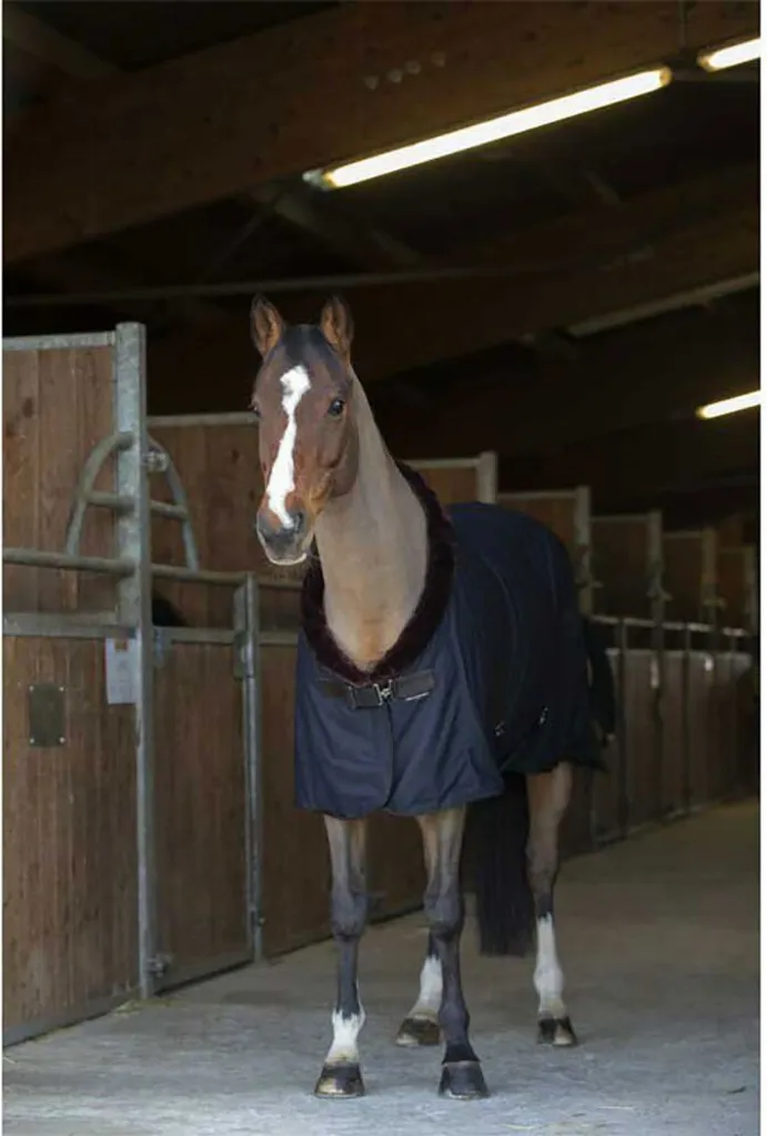 Chemise séchante cheval en polaire Teddy Equithème ultra absorbante 145