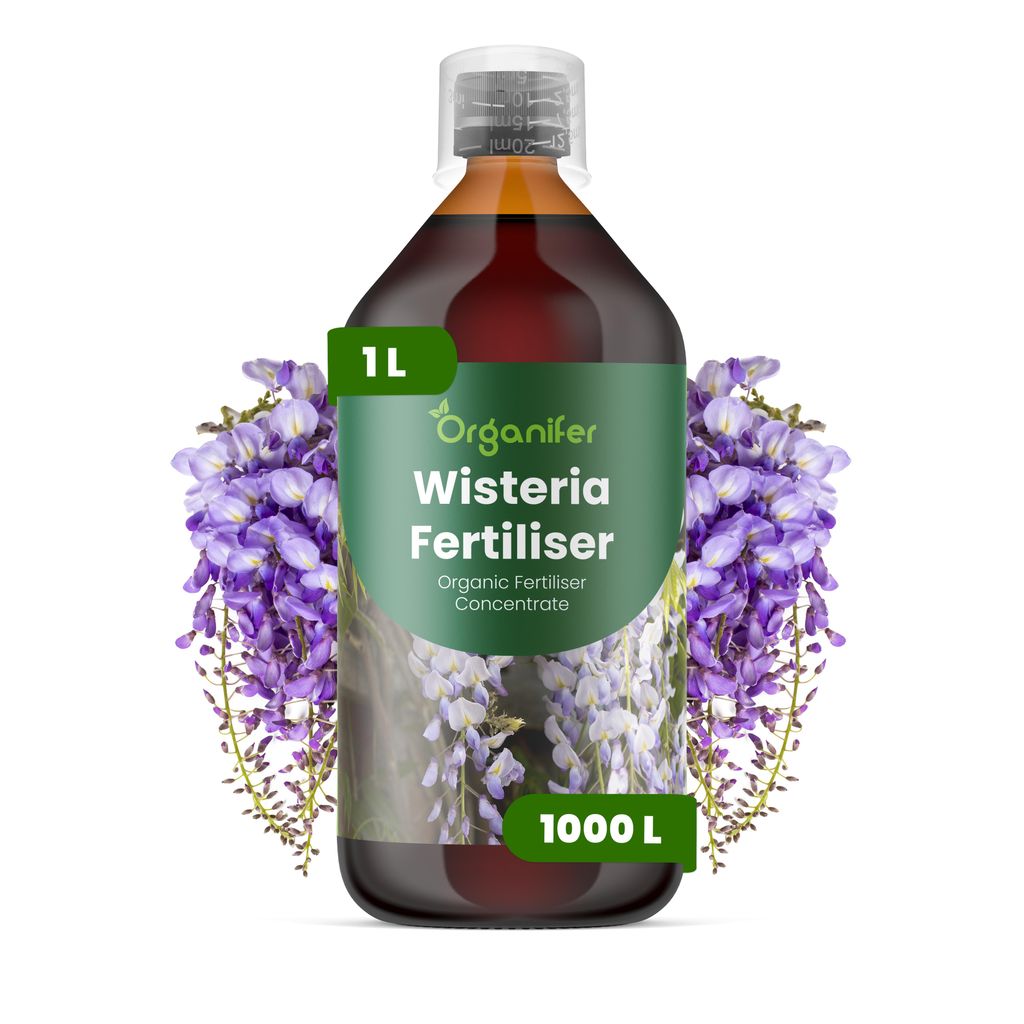 Nawóz Płynny dla Glicynia 1 L – 2-1-8 NPK – Do Glicynia – Zdjęcie produktu 