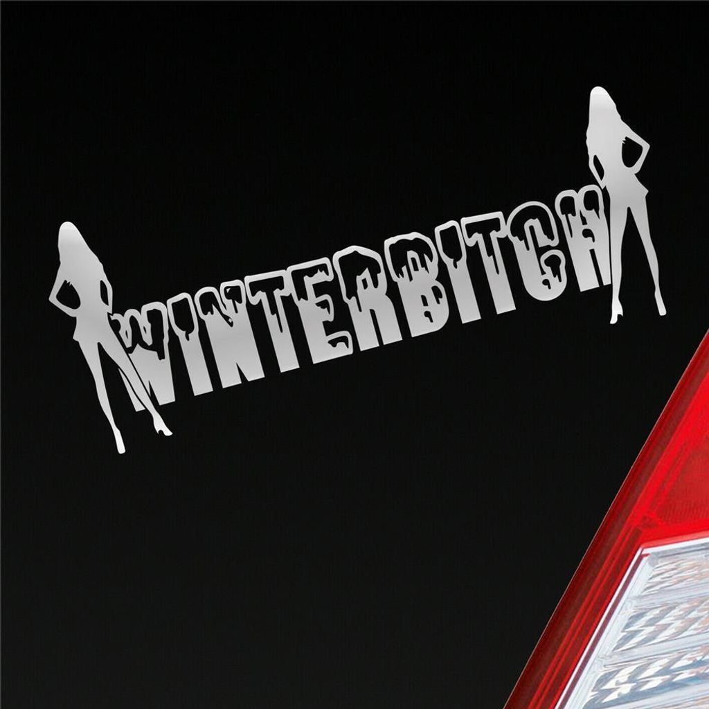 Auto Aufkleber Winterbitch Winter Bitch Schnee Tuning 15x6 cm Silber Sticker Heckscheibenaufkleber