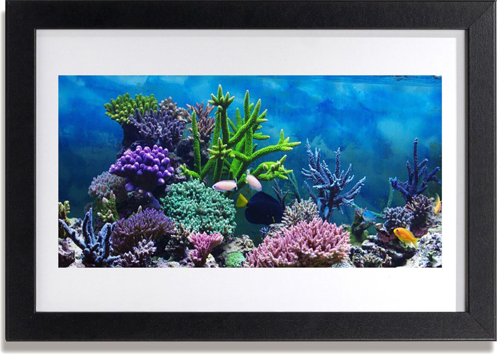Bild 30x20 MDF-Rahmen Wandkunst Aquarium Fische unter Wasser