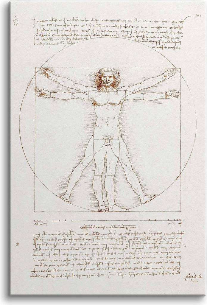 Leinwandbild Reproduktion Leonardo da Vinci Der vitruvianische Mensch 80x120cm