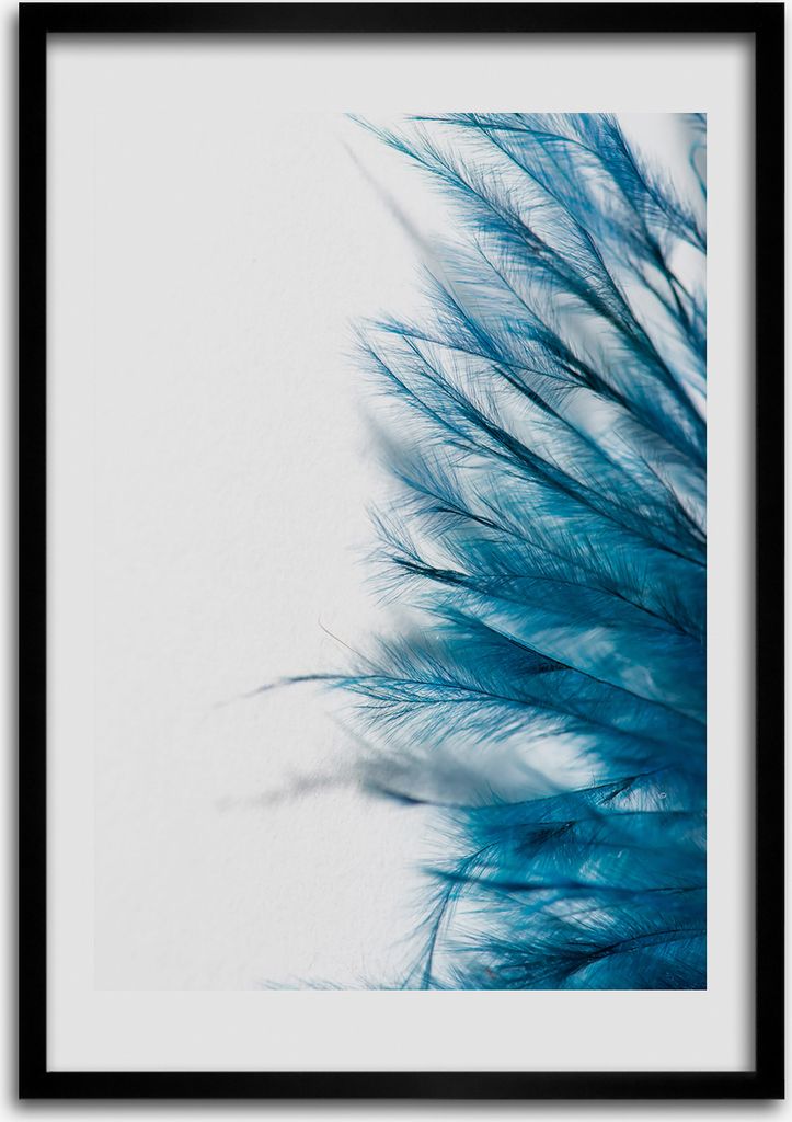 Bild - Bilderrahmen - Foto - 70 cm x 100 cm - MDF - Rahmen - Wandkunst - Blaue Federn