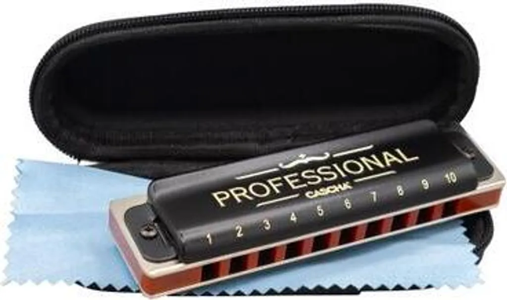 Cascha Professional Blues Harmonica en Do Majeur avec Étui Rigide - 2