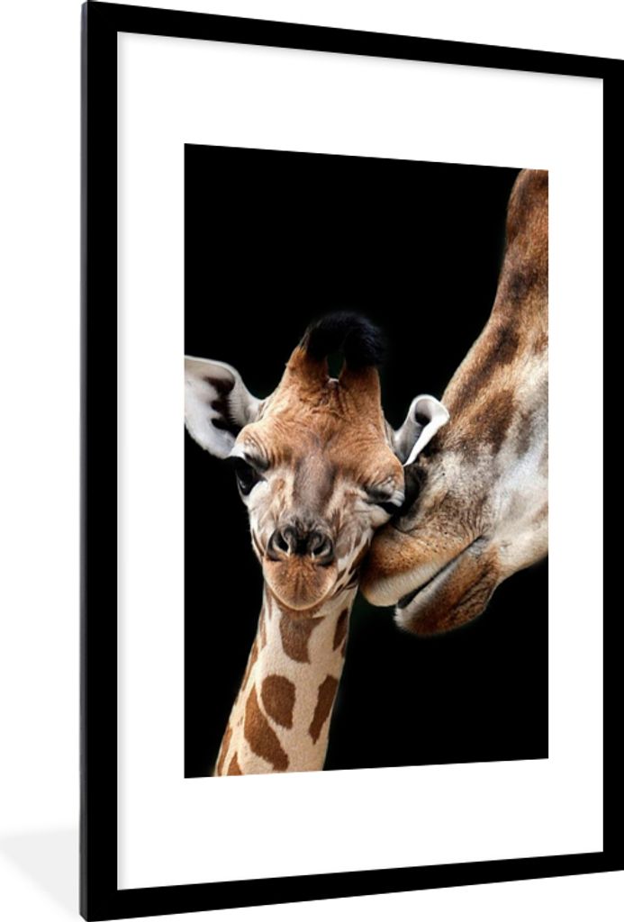 MuchoWow Gerahmtes Poster Giraffe - Tiere - Schwarz - Porträt - Tiere 60x90 cm - Poster mit Schwarzem Bilderrahmen Wandposter Rahmen Foto Bilder...