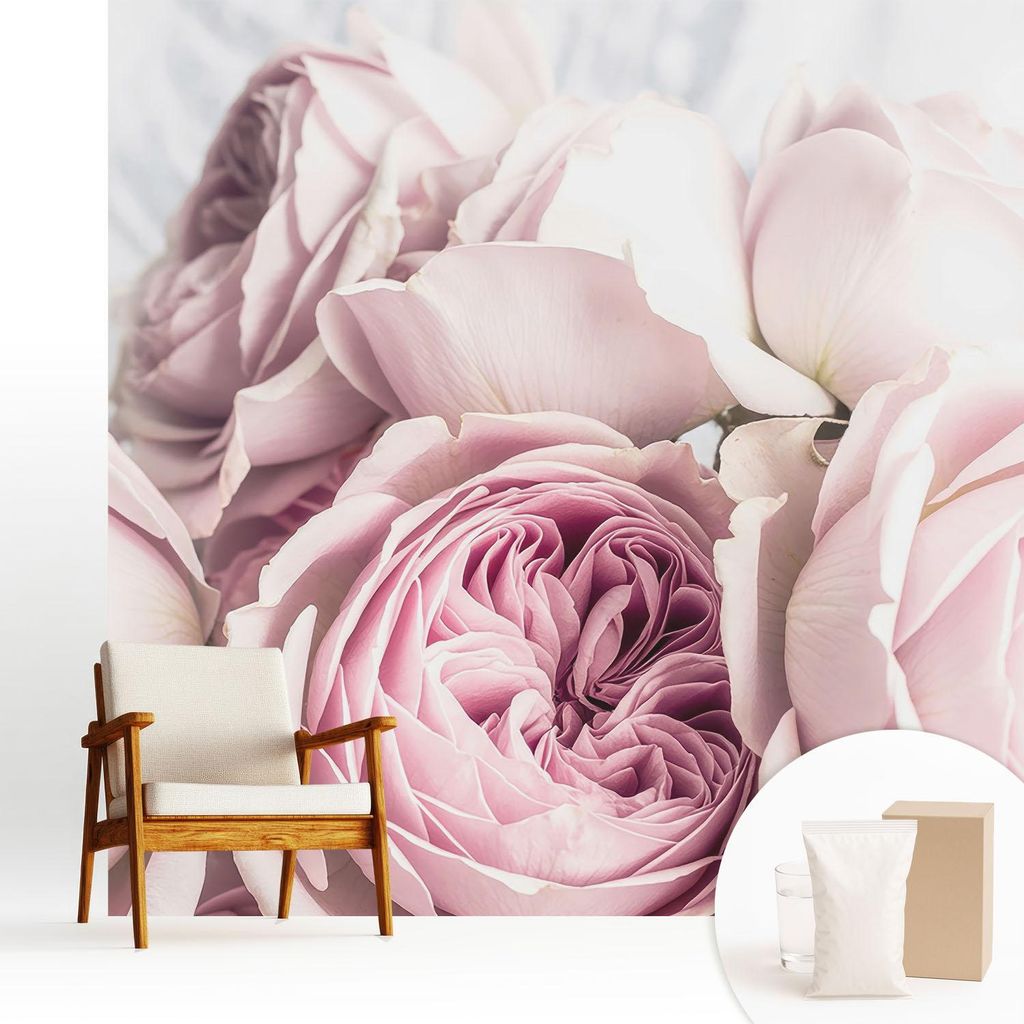 Fototapete - 250x250 cm - Tapete - Wandtapete - Wandbilder - Dekofolie - Tapete Folie - Wand - Dekoration - Wohnzimmer - Rosa Rosen