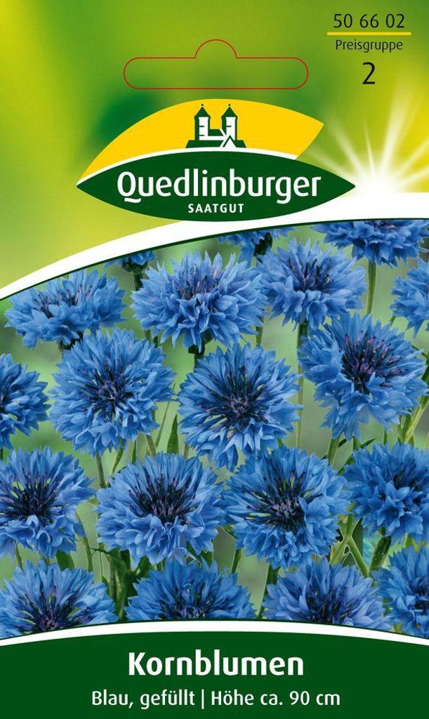 Quedlinburger Saatgut - Fiordaliso blu doppio - Semi - Immagine del prodotto 