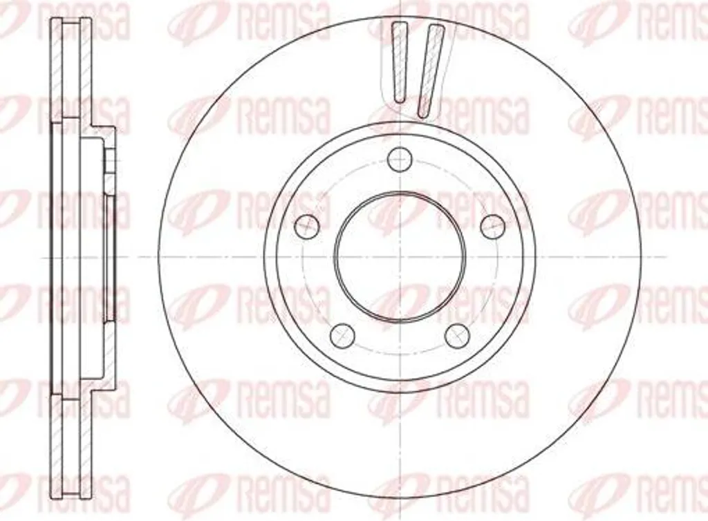 Disque de frein anti-vibration REMSA 6419.10 OE 4423368 Voyager