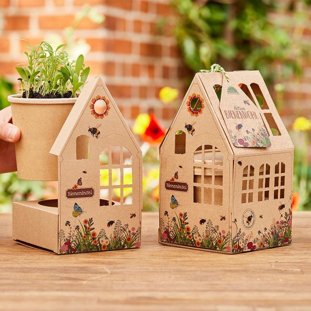 Anzuchtset Wildblumensamen Bienen Geschenk Set Mini Gewächshaus nachhaltig