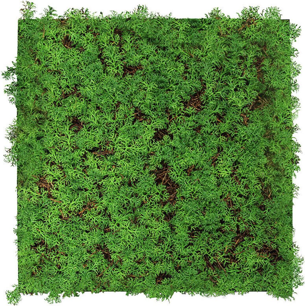 JANGAL Modular Wall Akustik 3D Paneele 520 x 520 mm Thuja Tea Tree Kunst Pflanzenwand Naturfaser