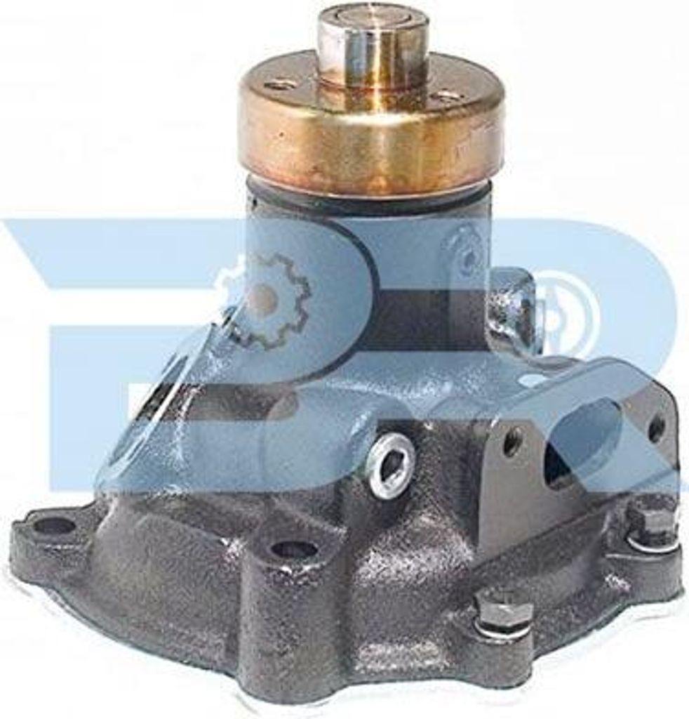 BOTTO RICAMBI Kühlmittelpumpe Wasserpumpe für IVECO ZETA BRM9242