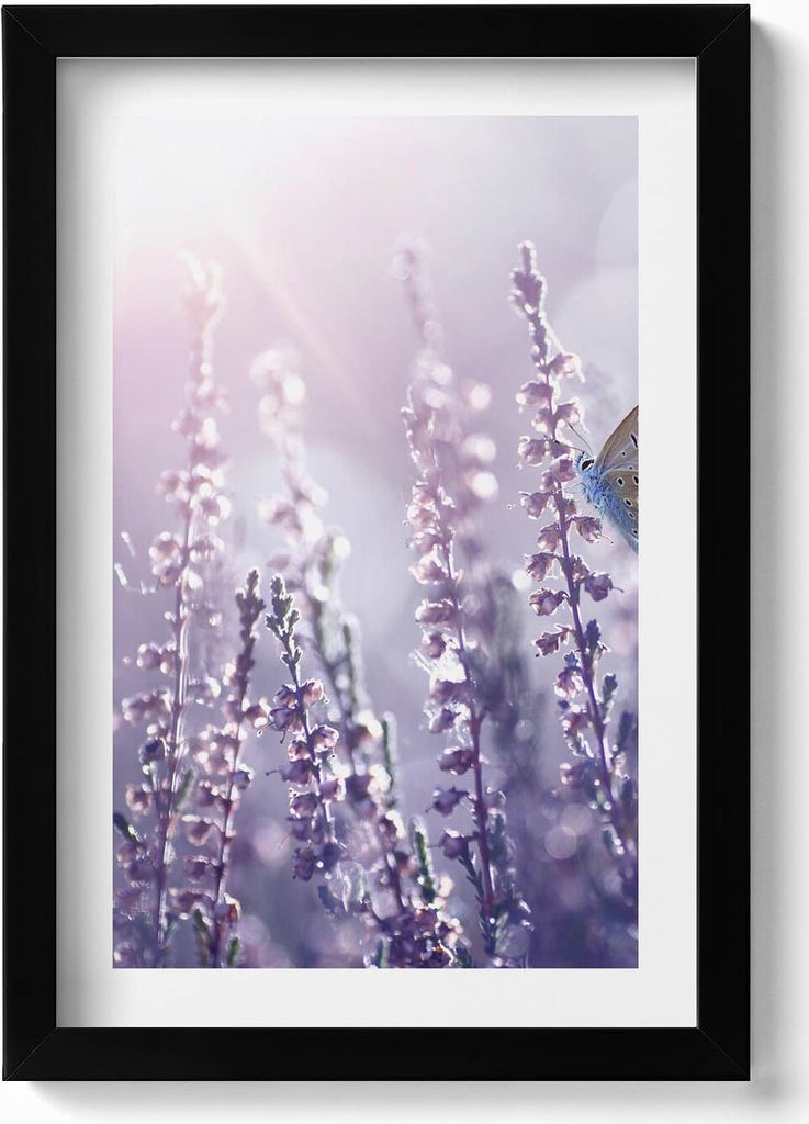 Schmetterling auf Wildblumen– Wandbild mit Rahmen – Gerahmtes Bild – Wanddekoration – 20x30 cm – Schwarz