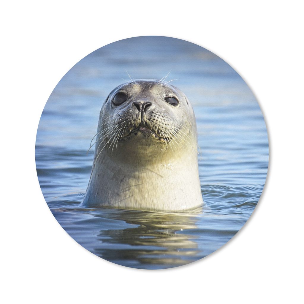 MuchoWow Mauspad Mousepad Siegel - Porträt - Wasser 40x40 cm - Mousepads - Maus Mat - Pad - Mausunterlage - Schreibtisch Accessoires