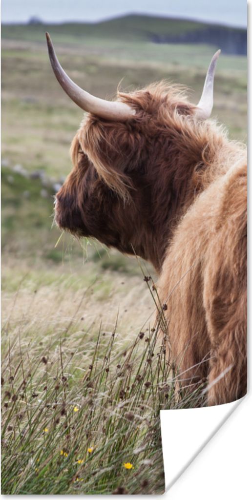 MuchoWow Poster Schottische Highlander - Natur - Meer 75x150 cm - Dekoration für die Wände