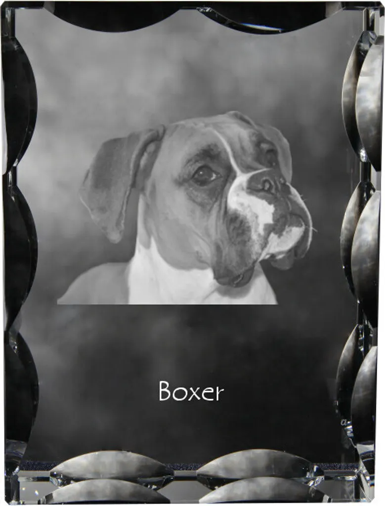 Statuetta Boxer I Art-Dog - Cristallo di Alta Qualità con Foto Cane