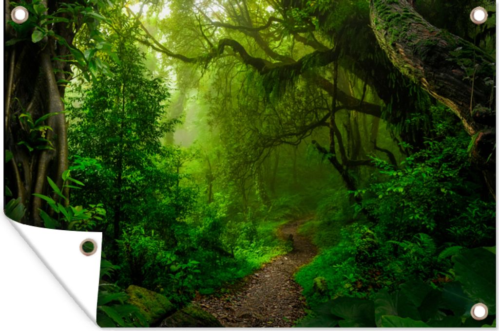 MuchoWow 60x40 cm Outdoor-Poster Gartendeko Sichtschutz Garten Poster für den Garten Landschaft - Dschungel - Tropisch - Sonne - Grün