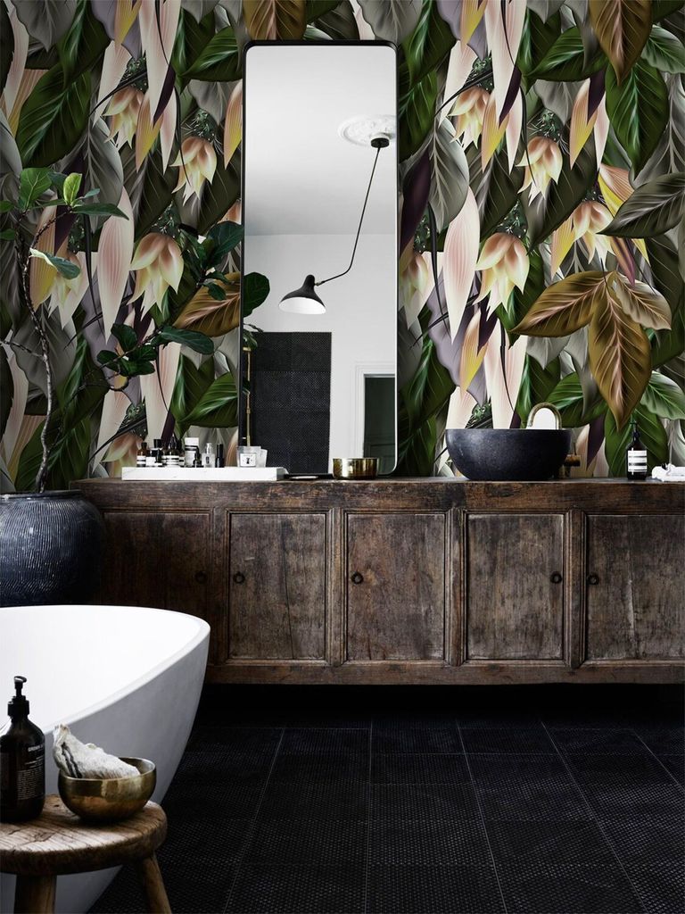 Coloray Fototapete 290x290 cm An Einer Wand Latex Latextapete - Sträucherläufe