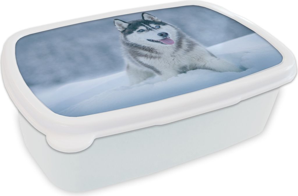 KitchenYeah Lunchbox Brotzeit Brotdose 17x11 cm Husky - Schnee - Natur Kinder Brotzeitdose - Lunch Box - Kinder - Sandwich-Box - Schulbox - Lunch...