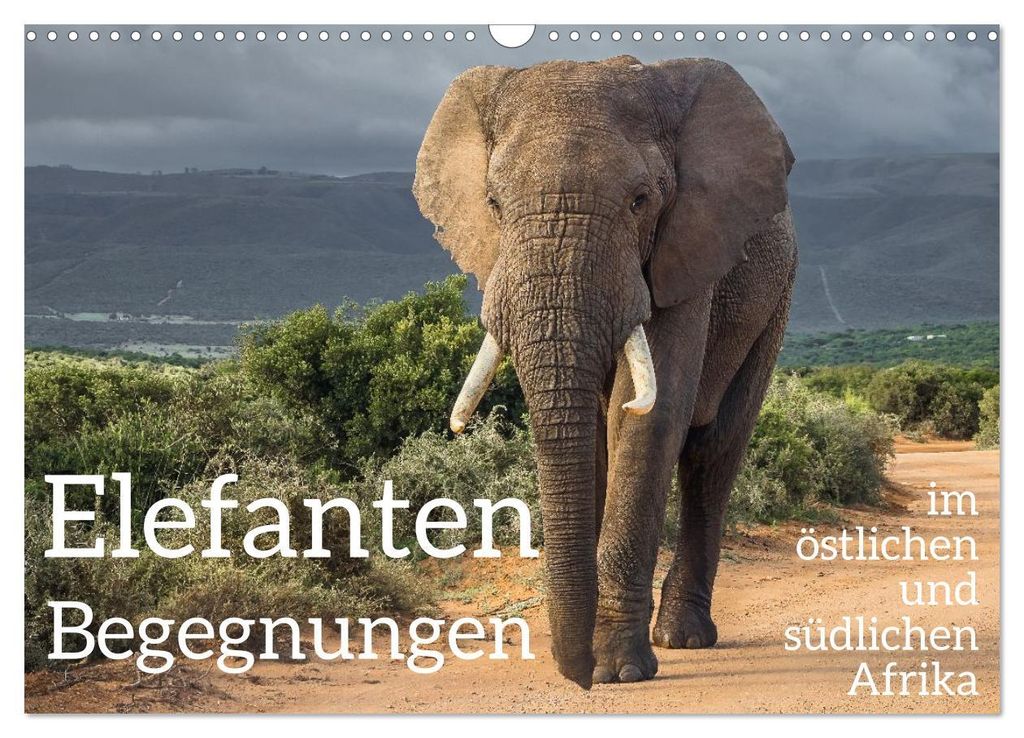 Elefanten Begegnungen im östlichen und südlichen Afrika (Wandkalender 2027 DIN A3 quer), CALVENDO Monatskalender