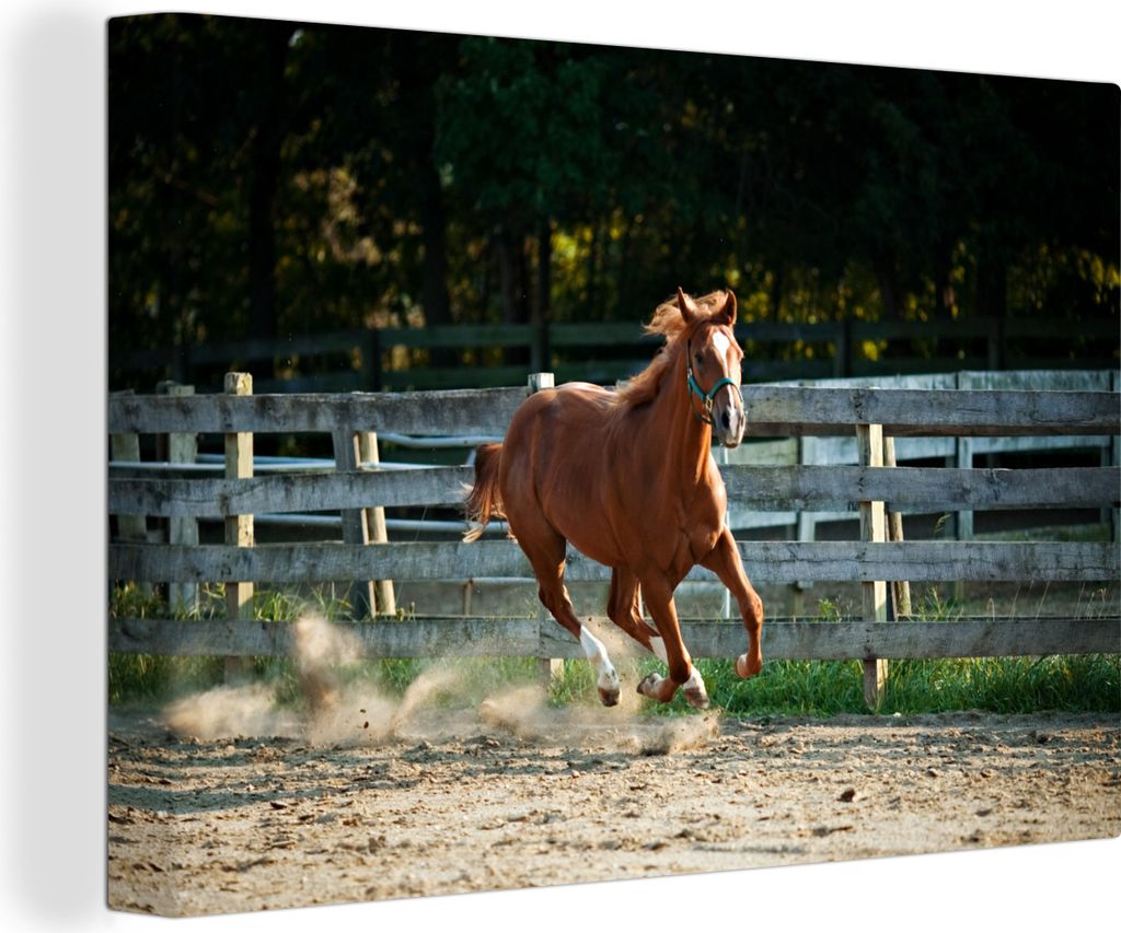 OneMillionCanvasses - Leinwandbilder - 150x100 cm, Pferd - Licht - Sand, Wandbilder Kunstdruck Wanddekoration