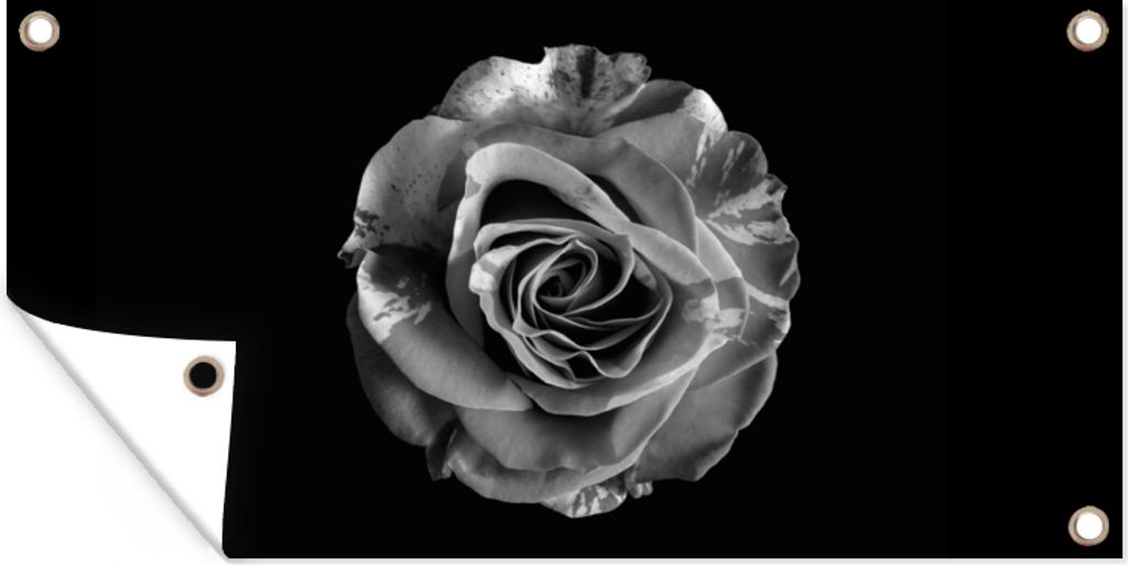 MuchoWow 160x80 cm Outdoor-Poster Gartendeko Sichtschutz Garten Poster für den Garten Blumen - Rose - Schwarz - Weiß - Botanisch