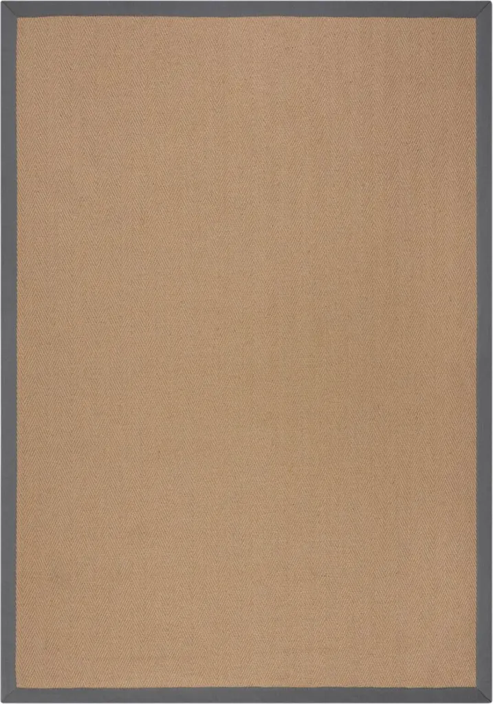 Tapis Moderne Gris 120x170 Herringbone Border Kira - Décoration