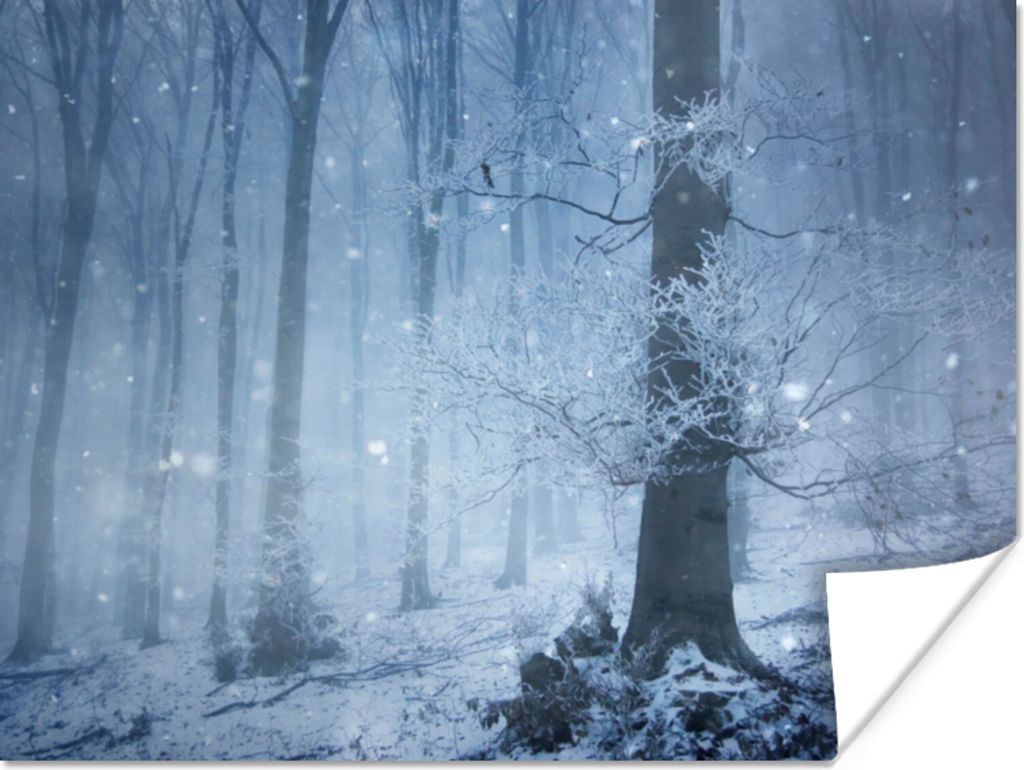MuchoWow Poster Wald - Winter - Schnee 40x30 cm - Plakate für die Wände - Poster Wohnzimmer