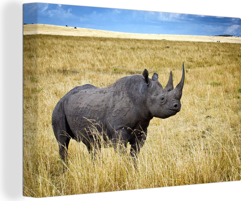 OneMillionCanvasses - Leinwandbilder - 150x100 cm, Rhinozeros - Schwarz - Tiere, Wandbilder Kunstdruck Wanddekoration