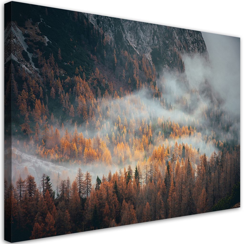 Leinwandbild Wald in Nebel-Landschaft 90x60 Feeby Orange bild für die wand bereit zum aufhängen
