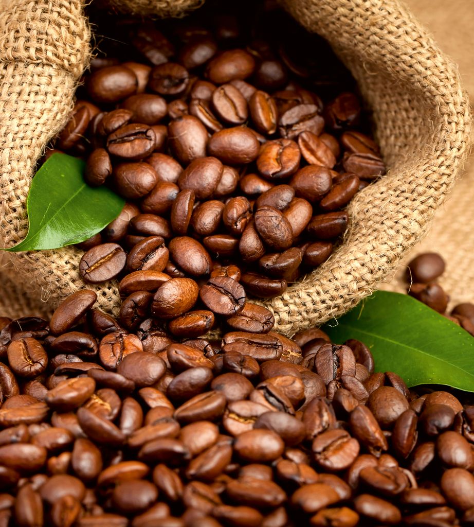 Fototapete - Coffee Beans 225x250cm - Vliestapete