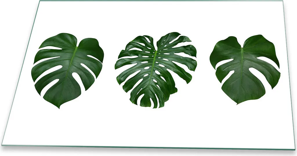 Copri Piano Cottura 80x52 Luxury Glass - Motivo Botanical Green