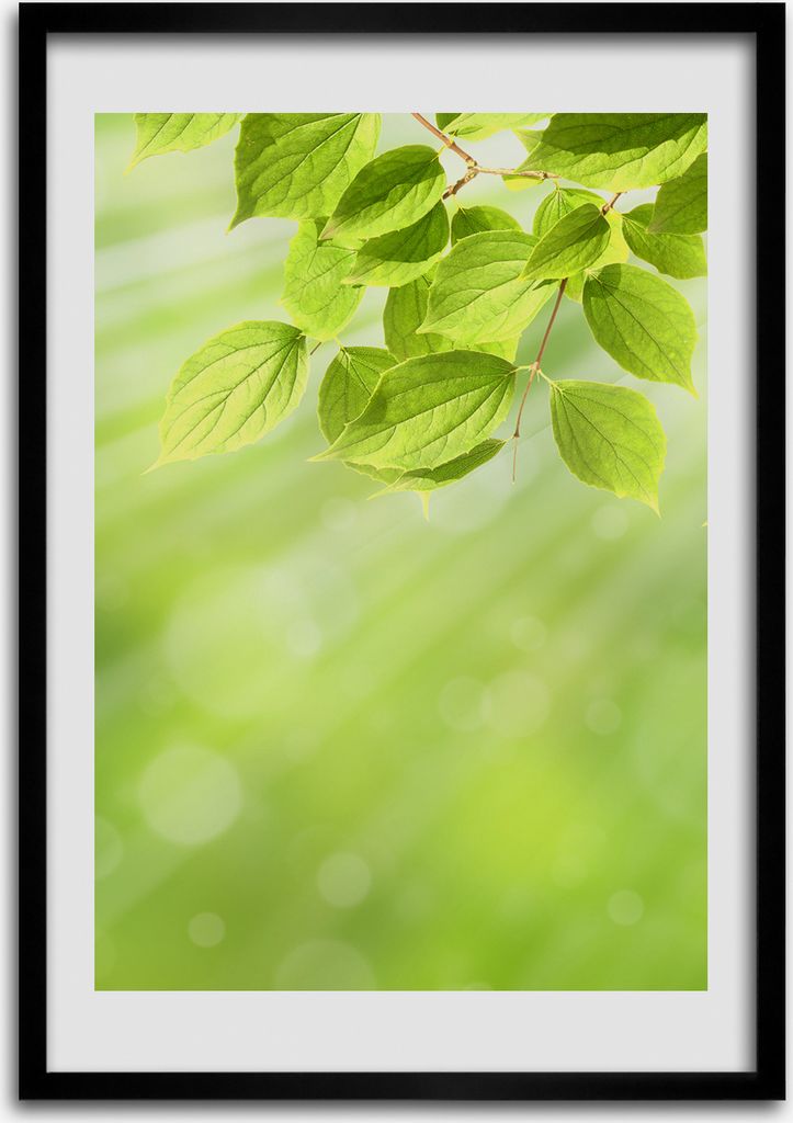 Bild - Bilderrahmen - Foto - 70 cm x 100 cm - MDF - Rahmen - Wandkunst - Grüne Blätter