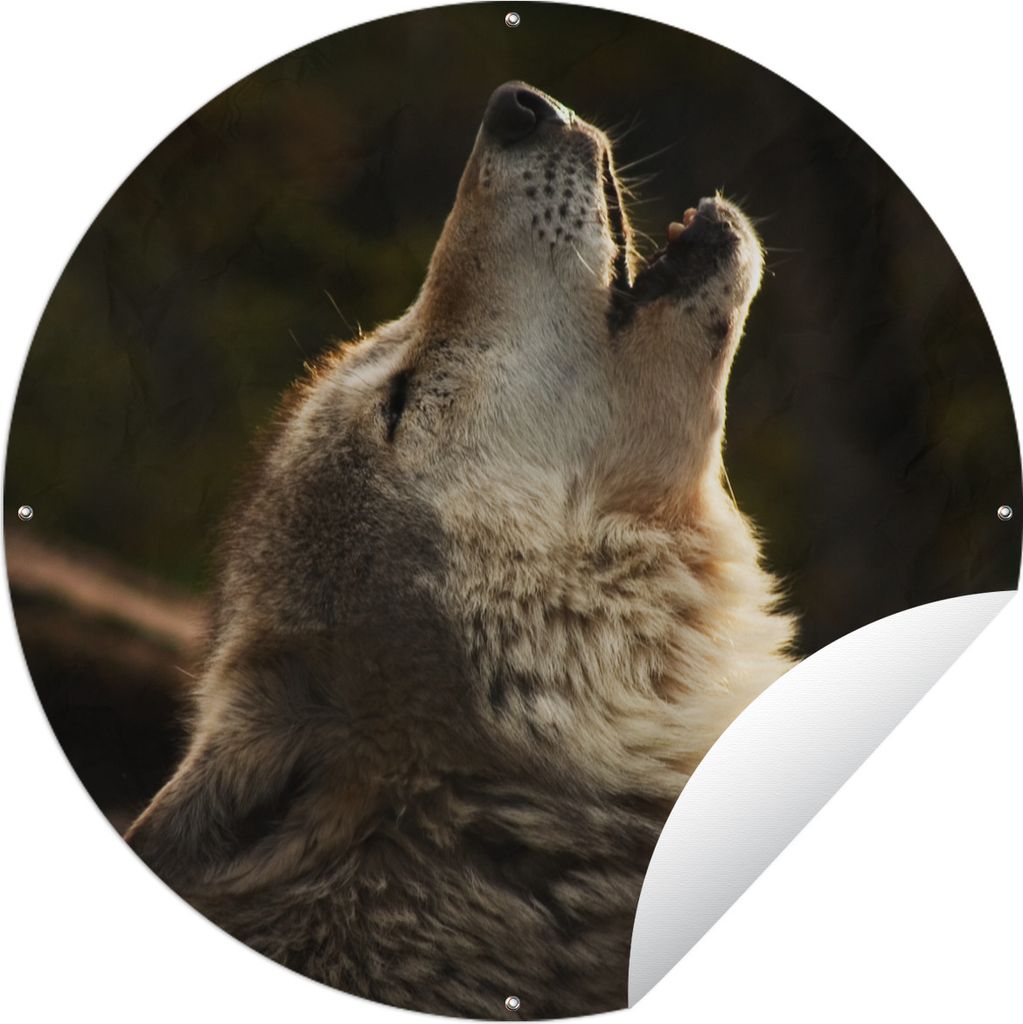 MuchoWow Gartenposter Outdoor-Poster Rund Wolf - Grau - Tiere Ø 90 cm Gartendeko Rundes Poster draußen
