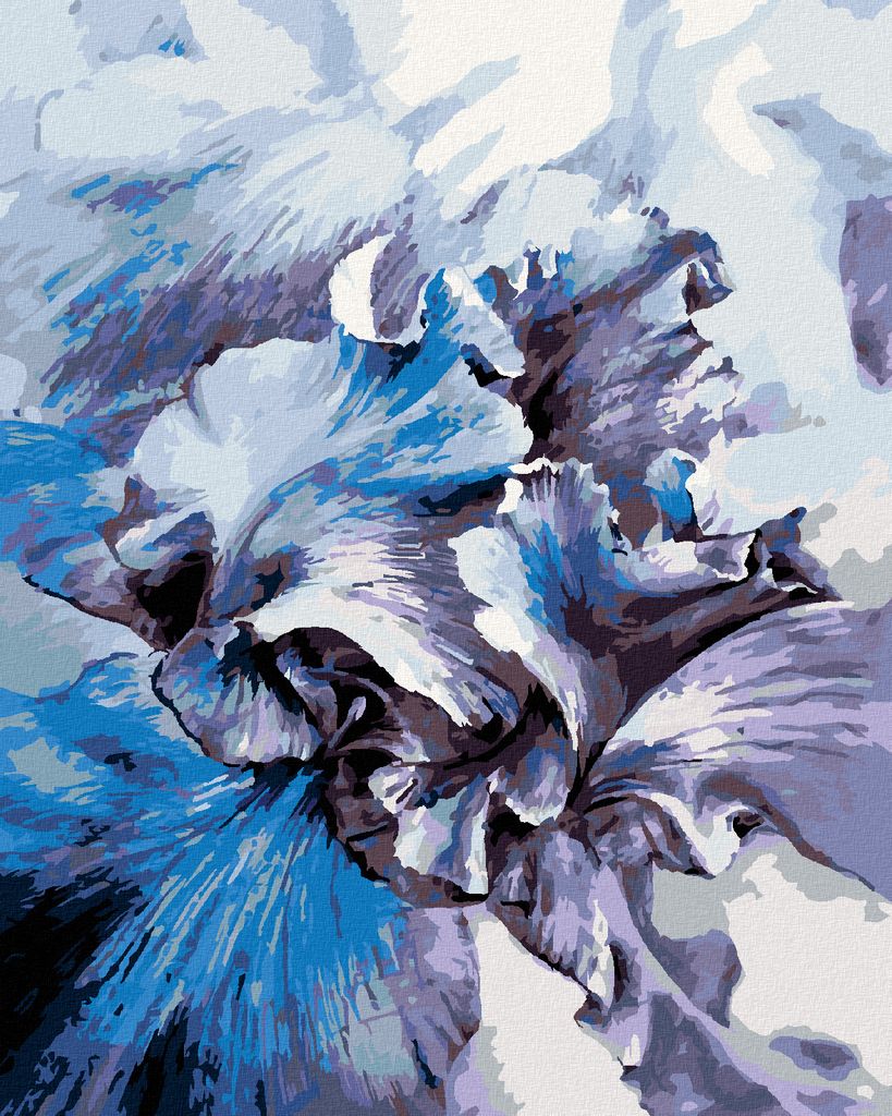 Zuty - Malen nach Zahlen - BLAUE SCHWERTLILIEN, 40x50 cm, ohne Keilrahmen
