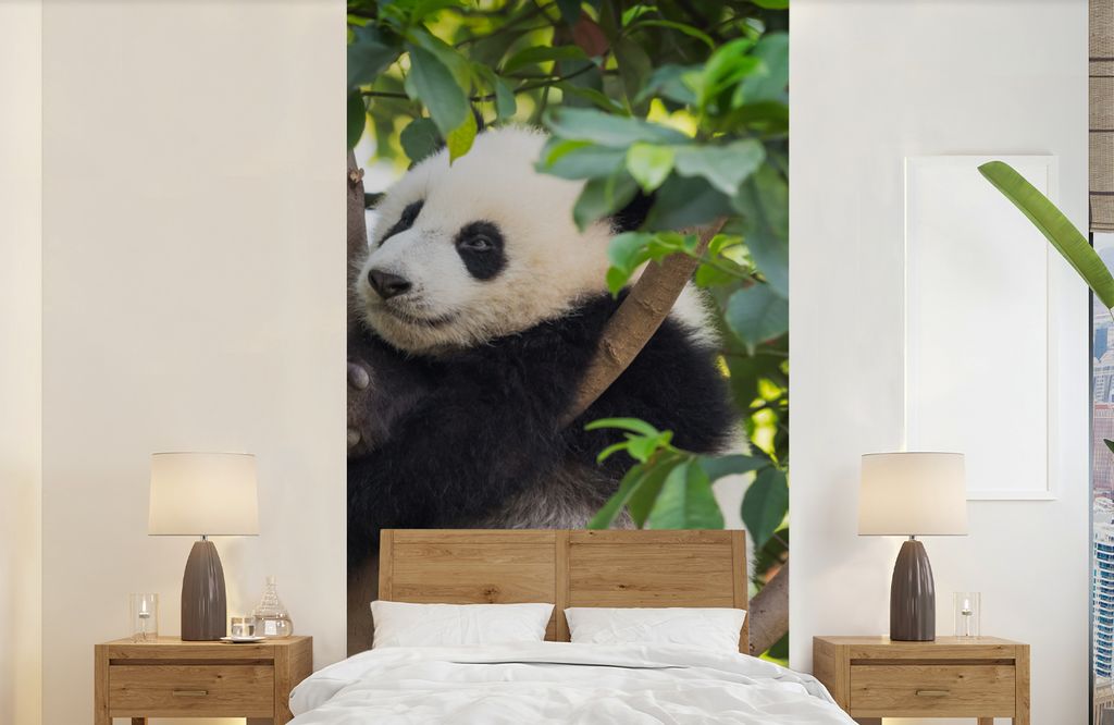 MuchoWow Fototapete für Wohnzimmer oder Schlafzimmer Wandtapete Vinyl Motivtapete Panda - Tier - Baum - 120x240 cm - Hintergrundbild