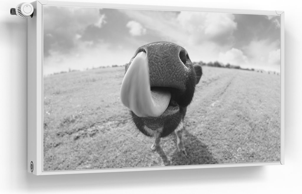 DEQORI Magnetmatte Heizung beschreibbar 100x60 cm 'Kuriose Kuh' Magnetfolie