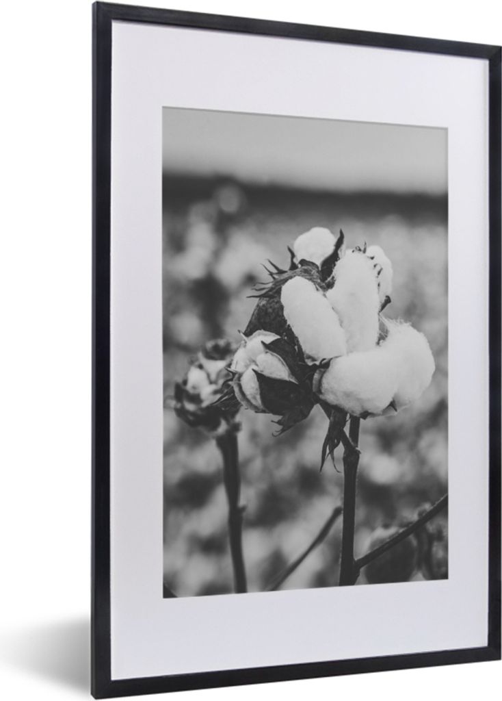 MuchoWow Gerahmtes Poster Baumwolle - Pflanzen - Schwarz - Weiß 40x60 cm - Poster mit Schwarzem Bilderrahmen Wandposter Rahmen Foto Bilder - Pos...