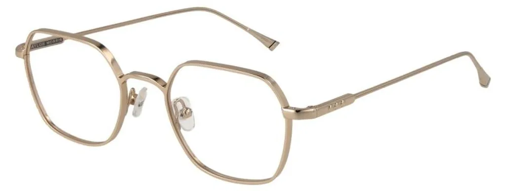 Taylor Morris Tm02 48C2 Lunettes de Soleil Idéales pour la Conduite
