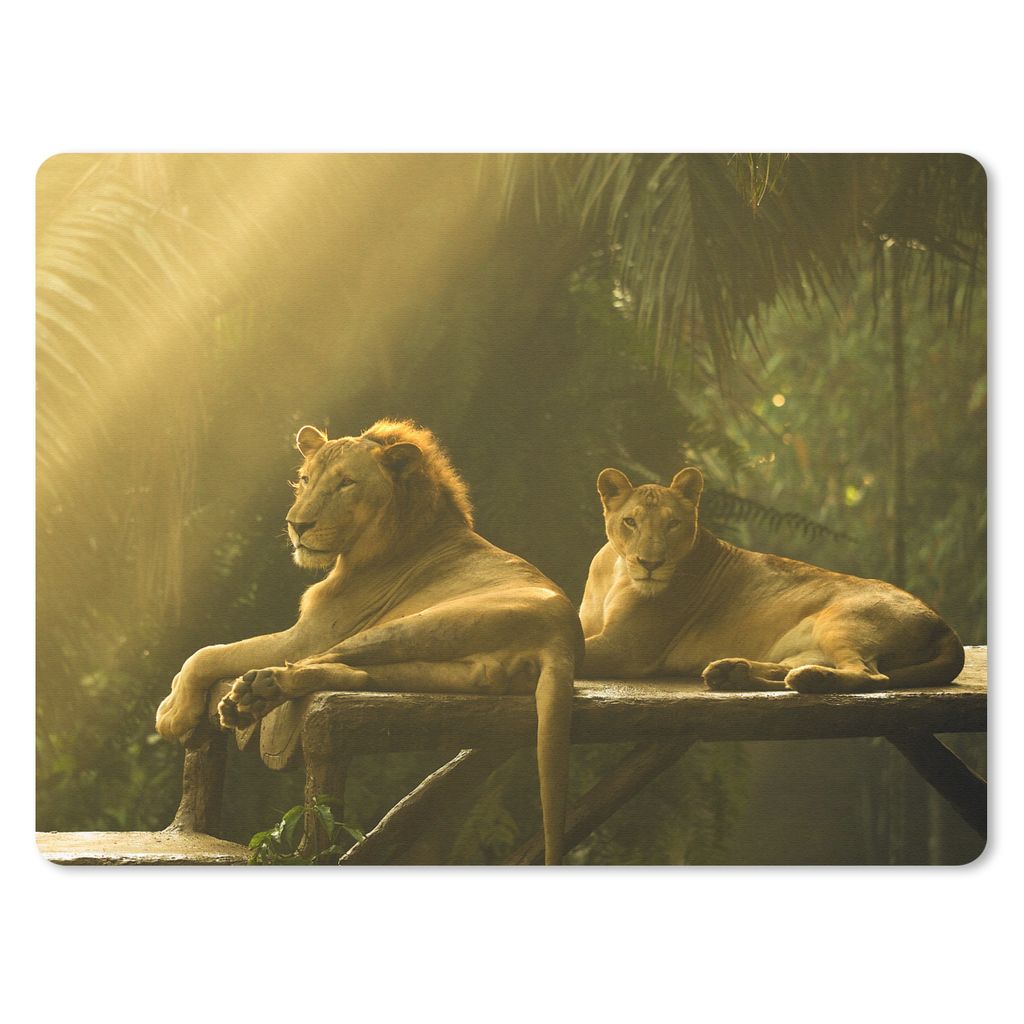 MuchoWow Mauspad Mousepad Löwen - Dschungel - Sonne 40x30 cm - Mousepads - Maus Mat - Pad - Mausunterlage - Anti Rutsch