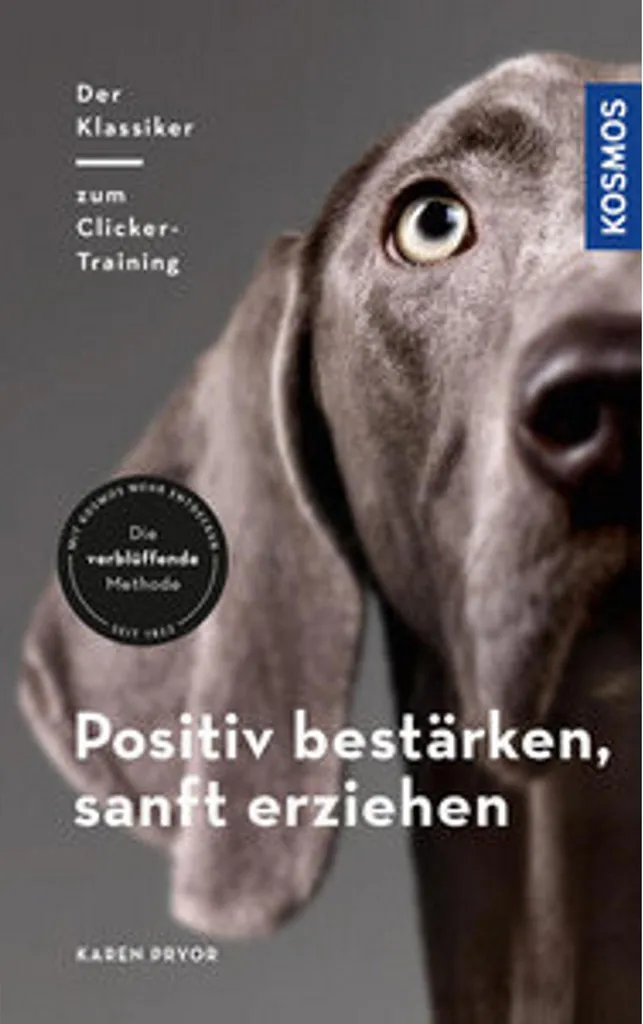 Livre éducation douce chien : Méthode positive et conseils d'experts