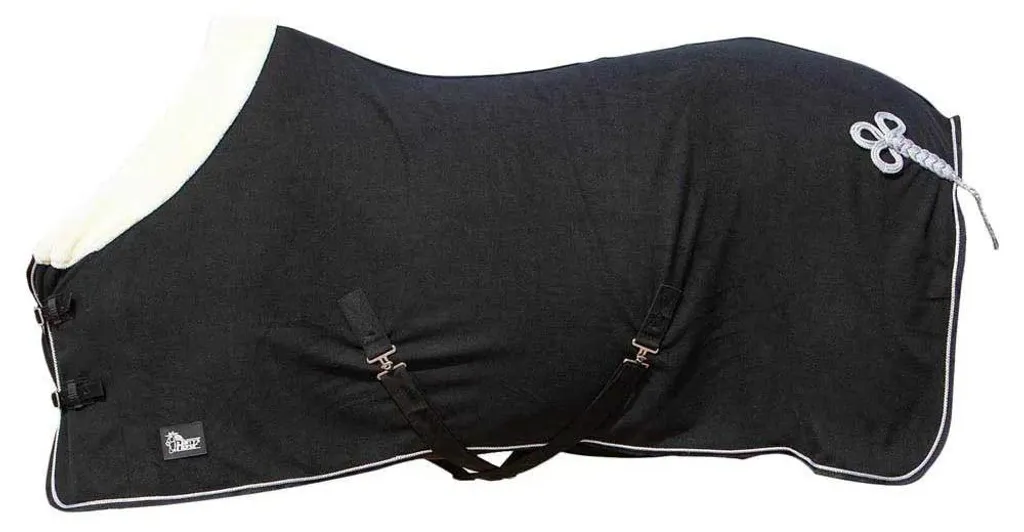 Couverture de Protection Champion Harry's Horse Noire pour Grand Cheval