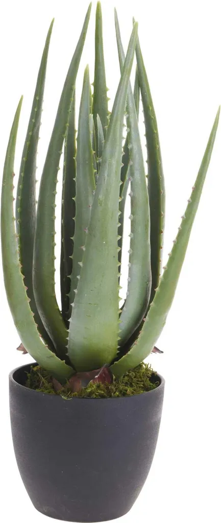 Aloe Vera artificiale ROSALINA in vaso di ceramica, verde, 21cm
